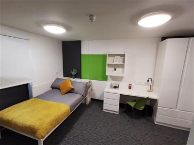 Picture 7